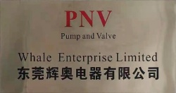 祝東莞輝奧電器有限公司通過TUV SUD--RBA VAP認證審核